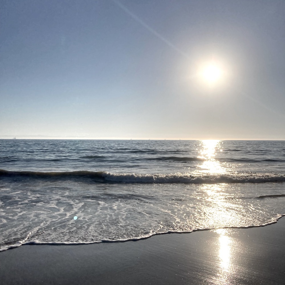 Meet your Posher, Sasha.